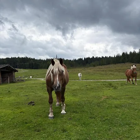 Bergerbauer * Krimml