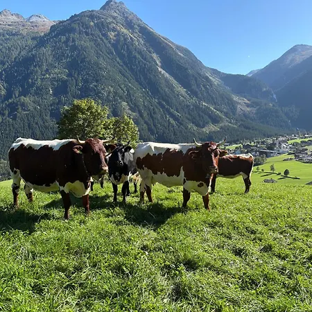 Lägenhet Bergerbauer *