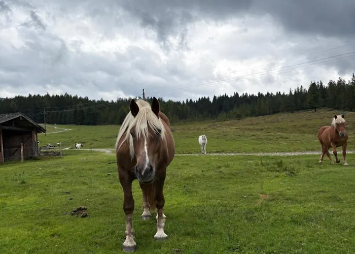 Bergerbauer * クリムル