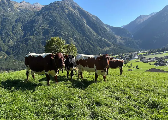 Lägenhet Bergerbauer *